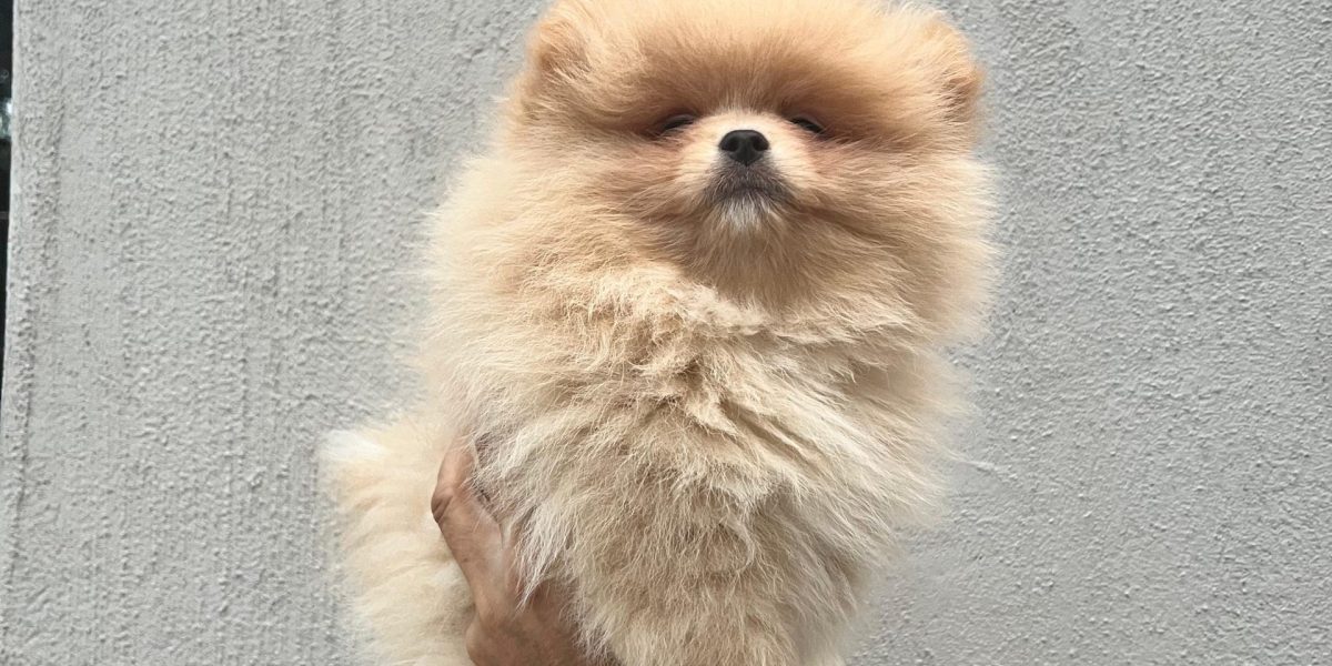 WhatsApp Image 2026-02-18 at 16.06.35 (1)