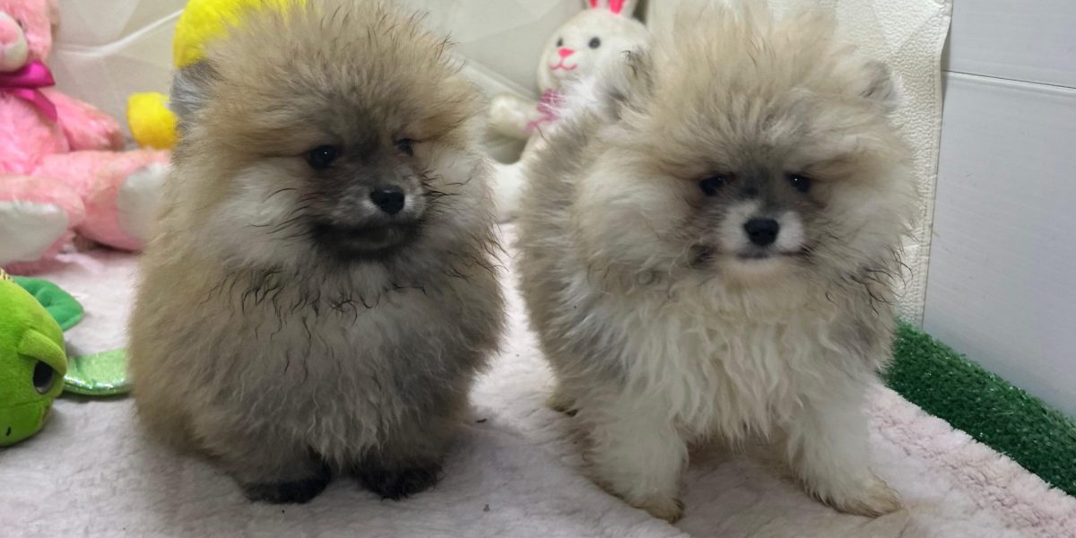 WhatsApp Image 2026-02-18 at 16.06.36 (1)